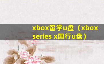 xbox留学u盘（xbox series x国行u盘）